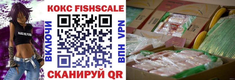 Купить  Александровск-Сахалинский  COCAIN Fish Scale 