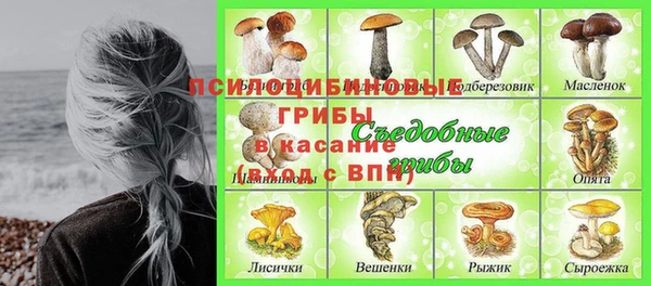 мяу мяу мука Арсеньев