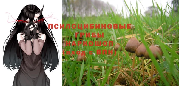 не бодяженный Армянск