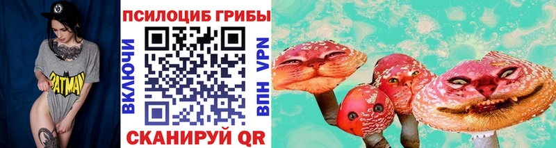 Галлюциногенные грибы Cubensis  Купить закладки  Александровск-Сахалинский 